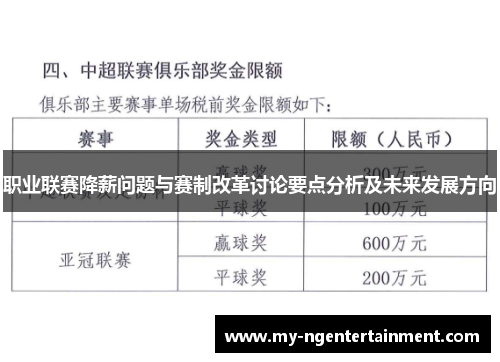 职业联赛降薪问题与赛制改革讨论要点分析及未来发展方向