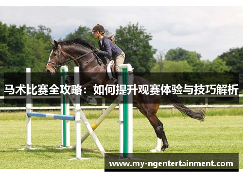 马术比赛全攻略:如何提升观赛体验与技巧解析 马术比赛全攻略:如何提升观赛体验与技巧解析